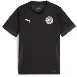 Puma teamGOAL SCL Trainingsshirt Kids