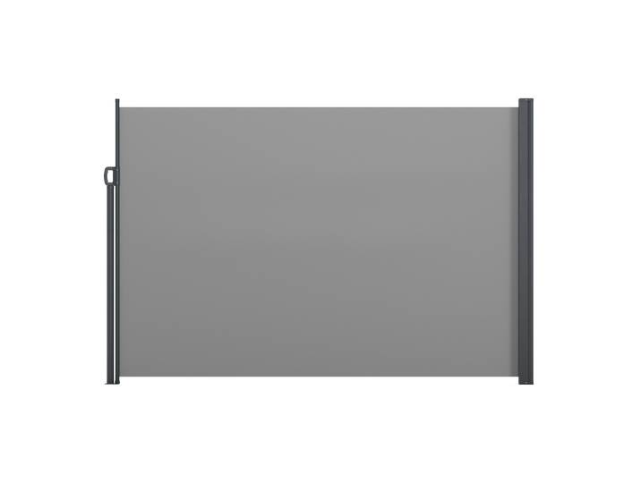 Seitenmarkise TIA 200 x 300 cm anthrazit