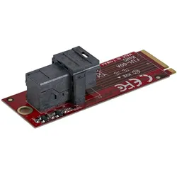 StarTech U.2 TO M.2 ADAPTER, SSD + Festplatte Zubehör