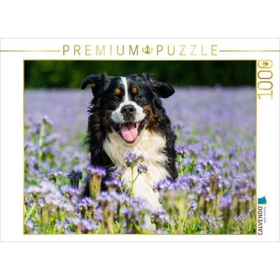 CALVENDO Puzzle Traumhund Berner Sennenhund | 1000 Teile Lege-Größe 64x48cm Foto-Puzzle für glückliche Stunden