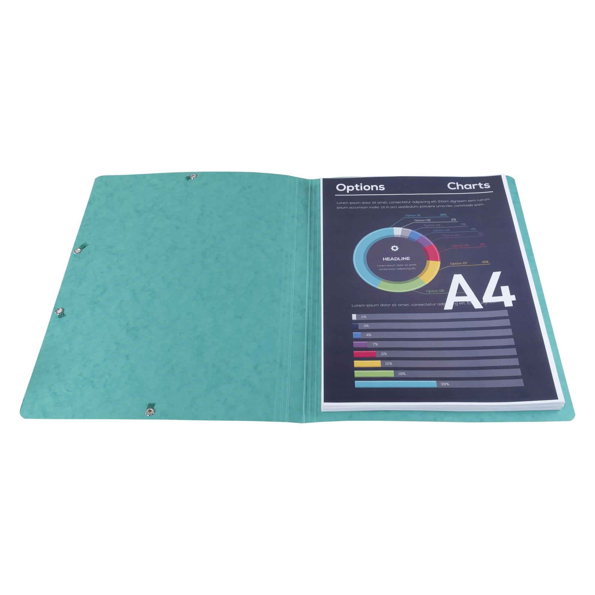 Exacompta Sammelmappe mit Gummizug (A4, 1x) (5513E)