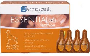 Essential 6 For Large Dogs 20-40kg 4 Months