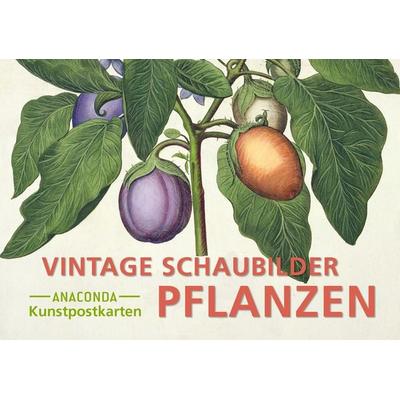 Postkarten-Set Vintage-Schaubilder Pflanzen, Taschenbuch von , Anaconda, 978-3-7306-1446-4