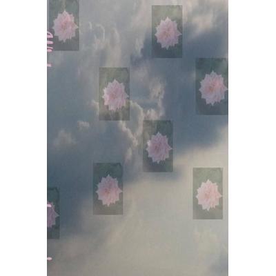 Wie kann man nur so verlogen sein, Taschenbuch von Barbara Gathen, Epubli, 978-3-7549-6969-4