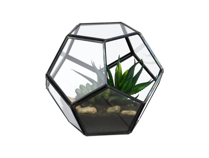 Relaxdays Planten terrarium voor vetplanten