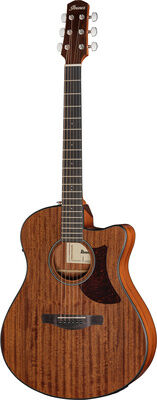 Ibanez AAM54CE-OPN Natur offenporig