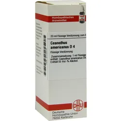 Ceanothus Americanus D 4 20 ML