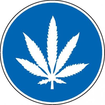 Dreifke® Gebotsschild Cannabiskonsum erlaubt, praxisbewährt, Folie, selbstklebend, Ø 200mm
