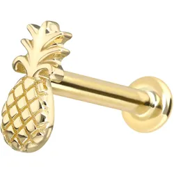 14 Karat Gold Labret mit Push Fit ANANAS