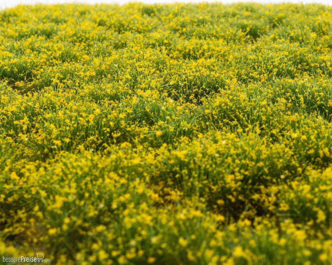 RTS 84101