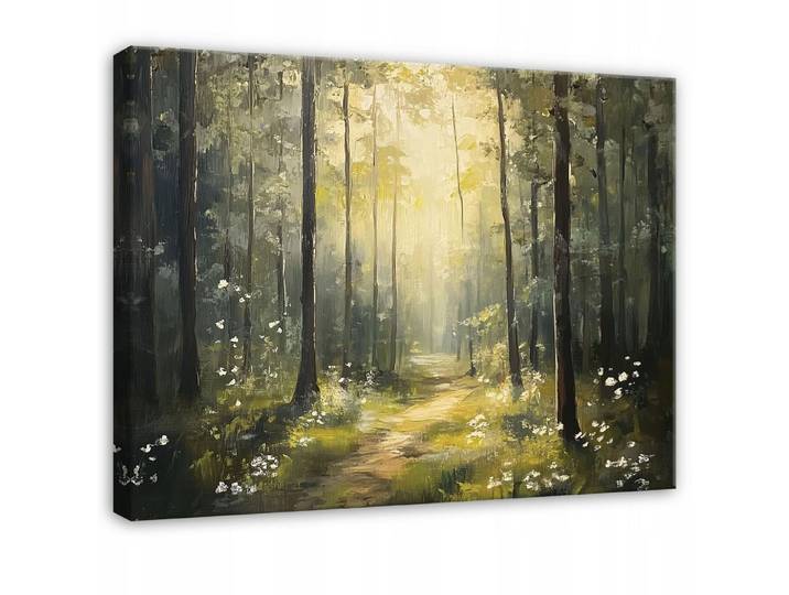 BILDER Wald Sonne Natur Grün Bäume 60x40