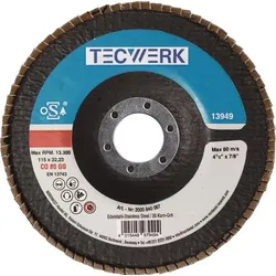 Tecwerk Fächerscheibe D.115mm K.120 kon.INOX CO