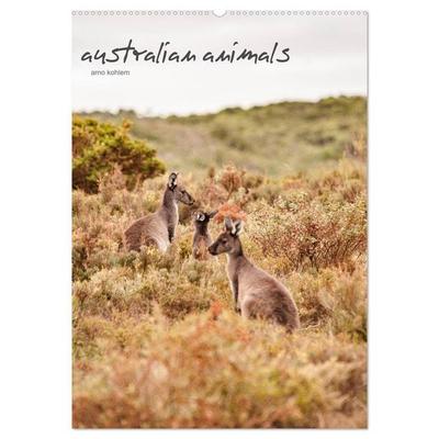 australian animals (Wandkalender 2027 DIN A2 hoch), CALVENDO Monatskalender