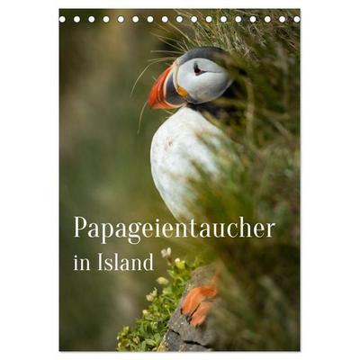 Papageientaucher in Island (Tischkalender 2026 DIN A5 hoch), CALVENDO Monatskalender
