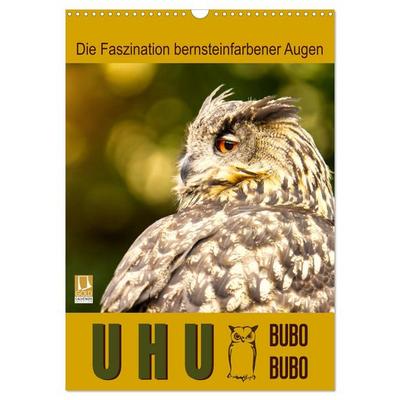 Uhu, die Faszination bernsteinfarbener Augen (Wandkalender 2026 DIN A3 hoch), CALVENDO Monatskalender