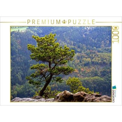 CALVENDO Puzzle Krüppelkiefer auf dem Lilienstein | 1000 Teile Lege-Größe 64x48cm Foto-Puzzle für glückliche Stunden