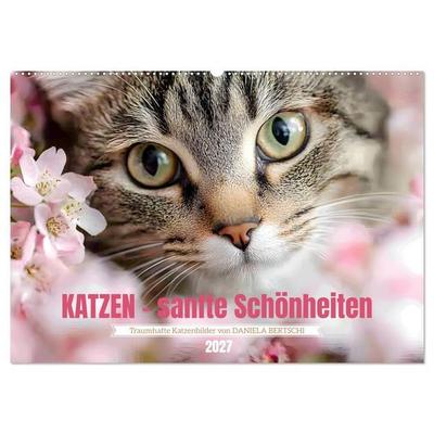 Katzen - sanfte Schönheiten (Wandkalender 2027 DIN A2 quer), CALVENDO Monatskalender