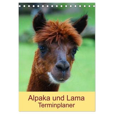 Alpaka und Lama Terminplaner (Tischkalender 2027 DIN A5 hoch), CALVENDO Monatskalender