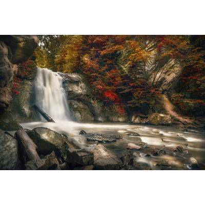 Fototapete PAPERMOON "WASSERFALL-HERBST WALD MEER FLUSS INSEL STEINE BÄUME", bunt, B:4m L:2,6m, Vlies, Tapeten