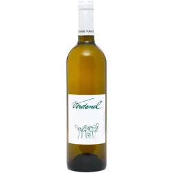 Verdanel 2021 - Domaine Plageoles