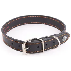 Martin Sellier Flash (Hund, Spazieren), Halsband + Leine
