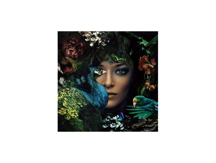 Glasbild „Die Lady und der Pfau“ 100 x 100 cm Multicolor Crea Collection