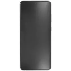 Samsung Display - Einheit G988B Galaxy S20 Ultra / 5G grau GH82-26032B (Keine Kamera) (Display, Samsung Galaxy S20 Ultra, Samsung Galaxy S20 Ultra 5G), Mobilgerät Ersatzteile, Grau