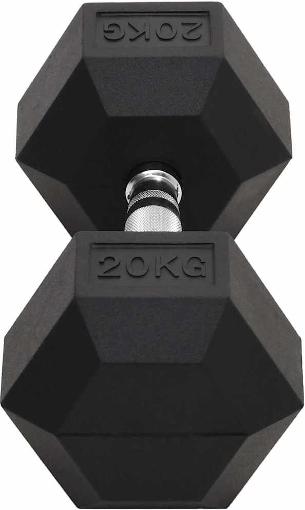 vidaXL Haltère 20 kg Fonte