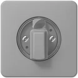 Jung Abdeckung für Jalousie-Drehschalter (grau)