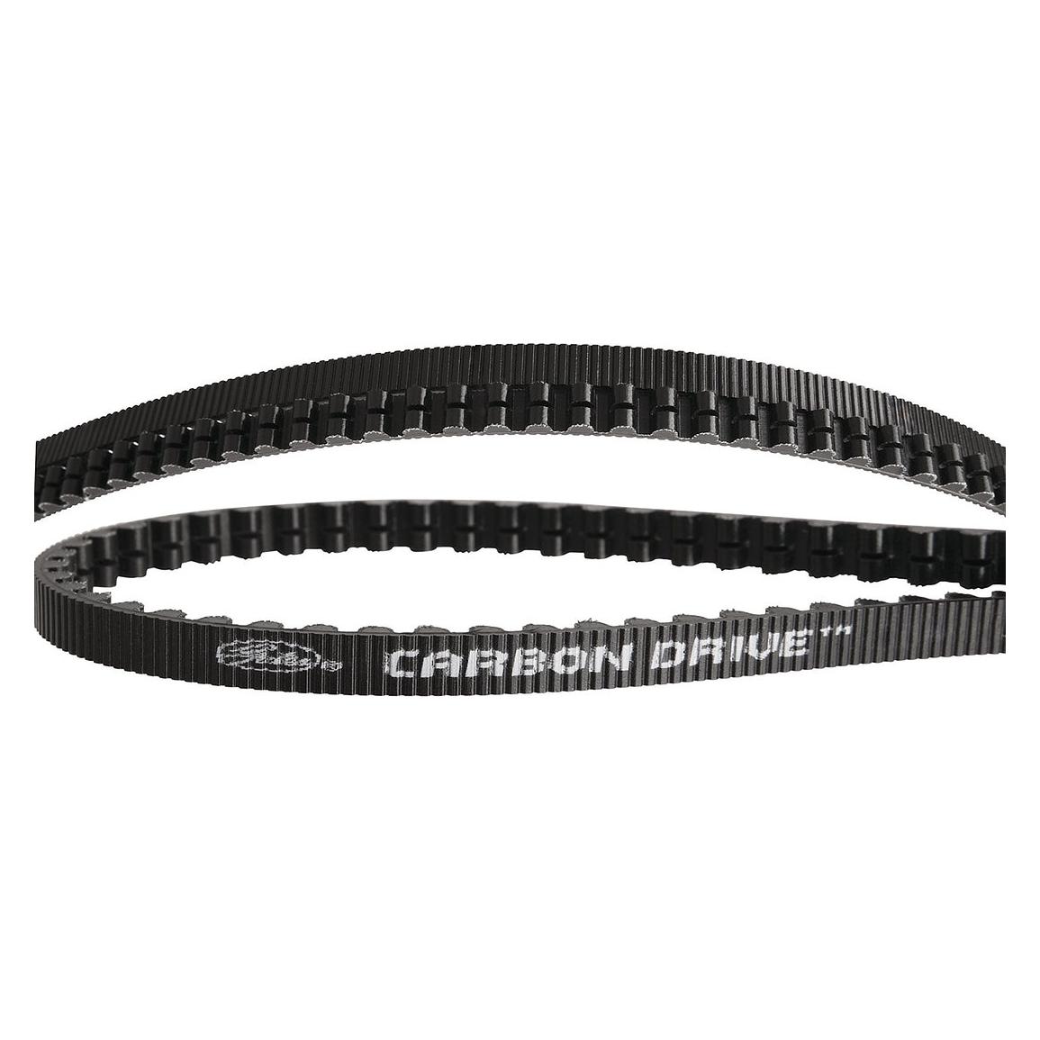 Gates Cdx (925500893-AM)