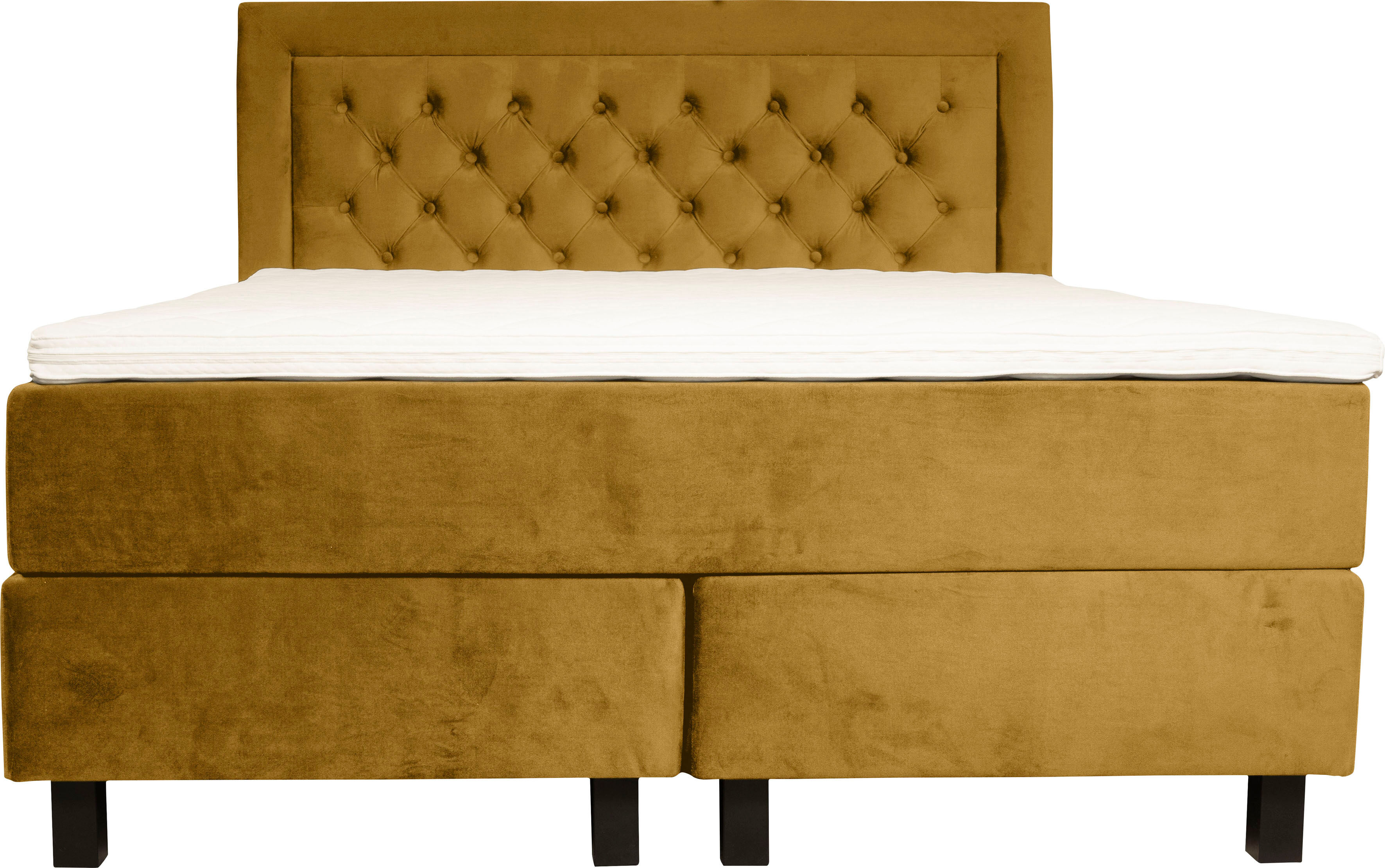 Boxspringbett HOME AFFAIRE "Jeanne", gelb (mustard), B:141cm L:208cm, 100% Polyester, Komplettbetten, Boxspringbett, inkl. Topper mit Taschen-Federkernmatratze mustard Samtvelours, Liegefläche B/L: 140cm x 200cm, H3, Taschen-Federkernmatratze