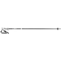 LEKI Herren Alpin-Skistock Bliss, Größe 110 in Grau Grau