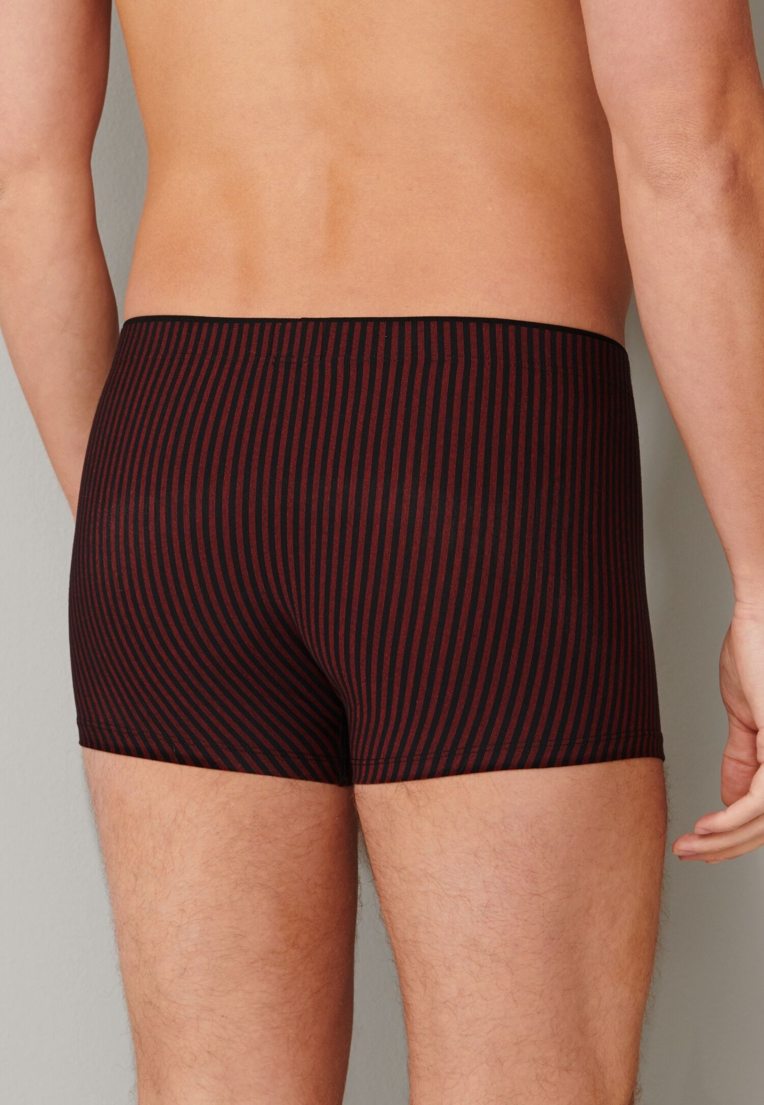 Panty SCHIESSER "Long Life Soft", Herren, Gr. 6, Single Jersey, rot (500, rot), Single Jersey, Obermaterial: 75% Modal, 15% Polyester, 10% Elasthan, körpernah, Unterhosen Panty, reduzierte Pilling-Bildung, ohne Eingriff, Single Jersey 500, rot 6, Single J