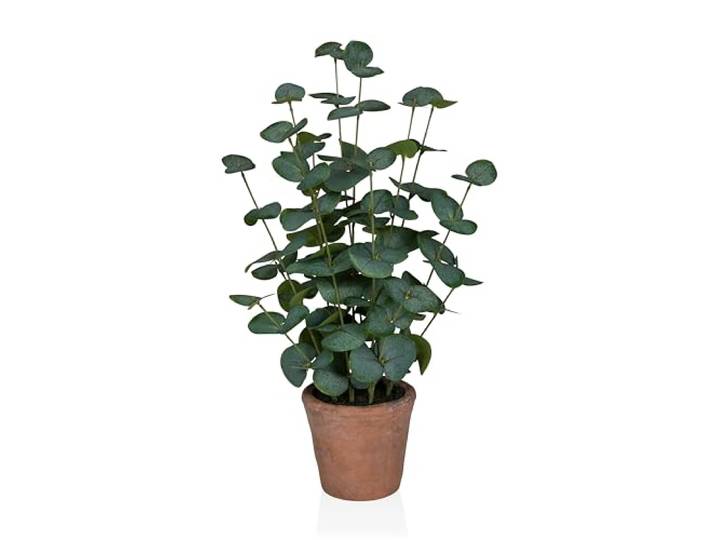 hjh OFFICE Kunstpflanze Eucalyptus, 48 cm – Grün, pflegeleicht, immergrün, realistische Dekopflanze aus hochwertigem Kunststoff für Wohnzimmer, Büro & Hotel
