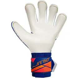 Reusch, Torwarthandschuhe, (10)