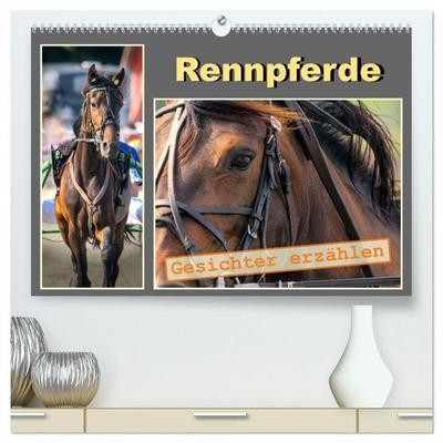 Rennpferde - Gesichter erzählen (hochwertiger Premium Wandkalender 2026 DIN A2 quer), Kunstdruck in Hochglanz