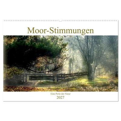 Moor-Stimmungen (Wandkalender 2027 DIN A2 quer), CALVENDO Monatskalender