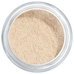 8g ARTDECO Translucent Loose Powder