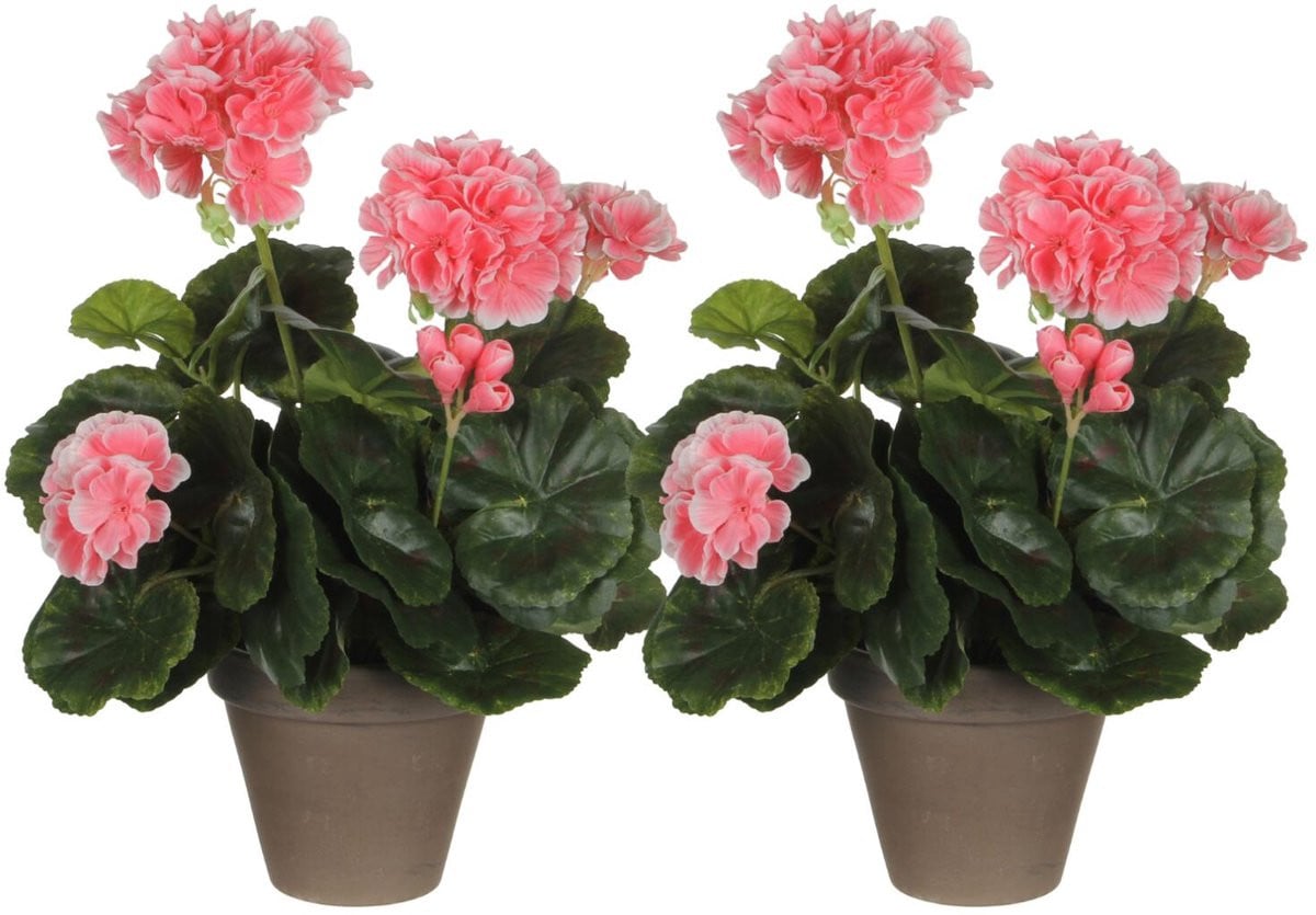 Mica Decorations Kunstplant Geranium Perzik in Pot Hoogte: 34 cm (2 stuks)