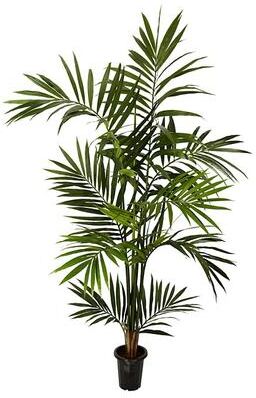 Nearly Natural Kentia Palm 6-foot Silk Tree