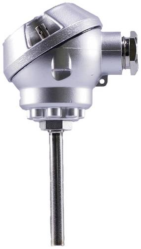 Jumo Widerstandsthermometer 00063618