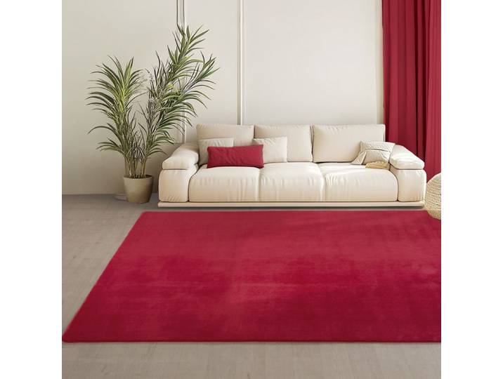 Teppium Tapis Rouge 200x280 cm Lavable Antidérapant et Doux tapis uni Salon et Chambre