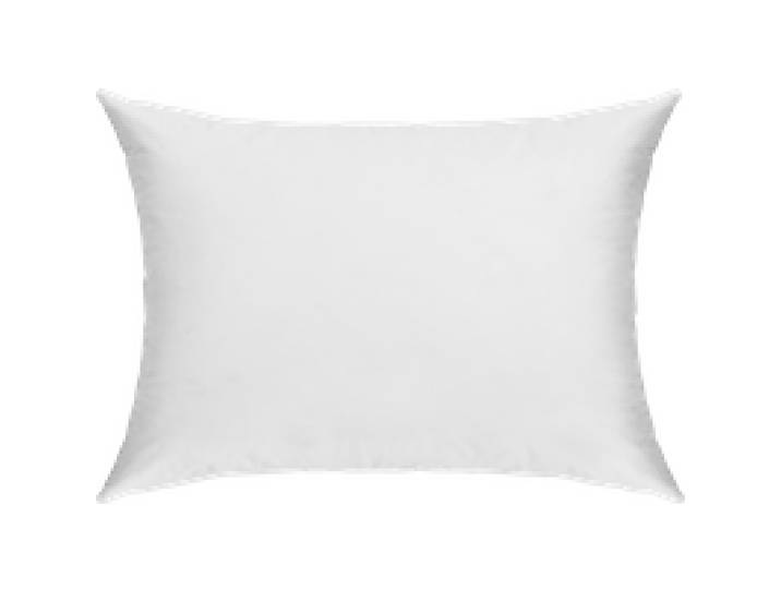 Oreiller ferme 50% duvet de canard et enveloppe coton percale Cléo