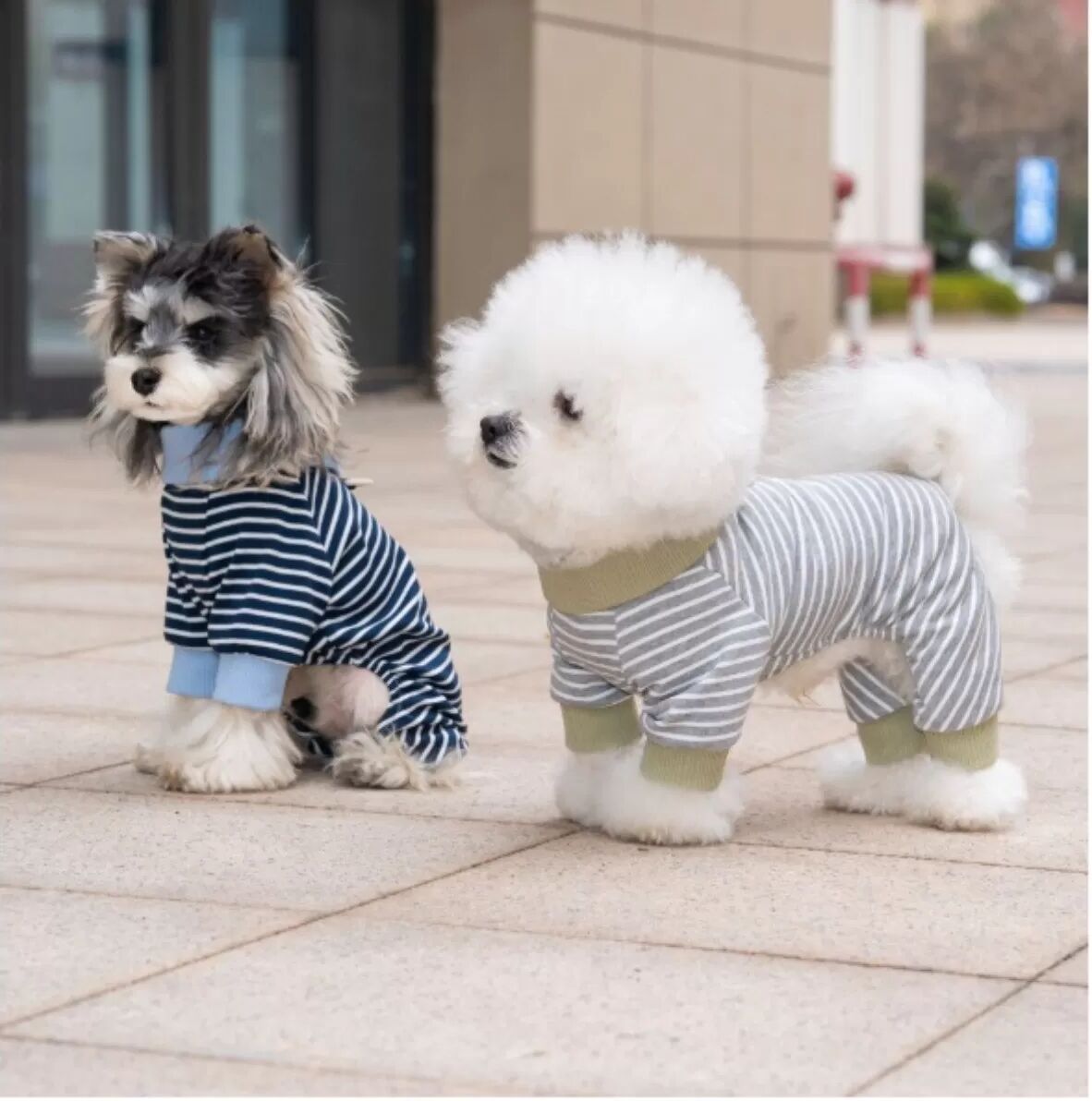 INF Sommer-Dünner Polyester-Hundeganzanzug mit vier Beinen und gestreiftem Kragen – Atmungsaktives Haustier-Outfit XXL Grau