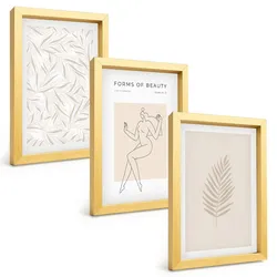 BILDER SET 3er Set - 20x30 cm Goldrahmen - Minimalistische botanische Motive