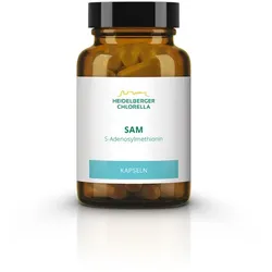 SAM S-adenosylmethionin Kapseln 60 St