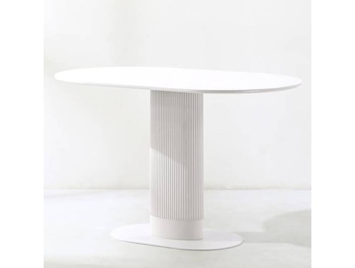 WEIDPHL Ovaler Esstisch Aus Holz, Küchentisch Mit Metallsockel, Kleiner Küchentisch Für Küche, Esszimmer, Verhandlungsraum, Café,Weiß