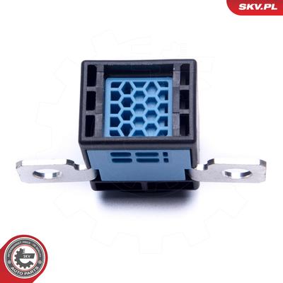 ESEN SKV Überspannungsschutzgerät, Generator 96skv319 für VW