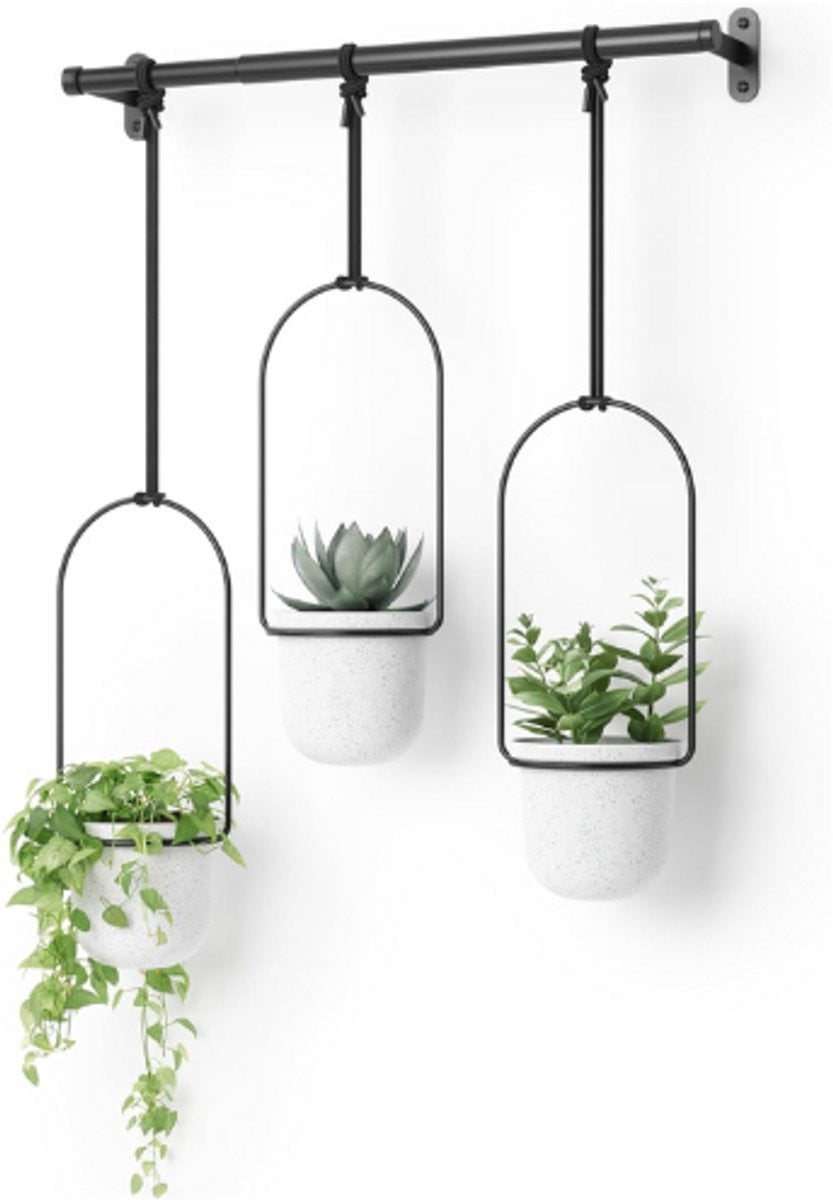 Thuys Triflora Hangende Bloempotten Set van 3 Wit