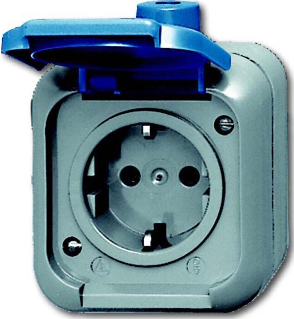 Busch-Jaeger Steckdose mit Klappdeckel 2300 EWSI (2CKA002083A0368)